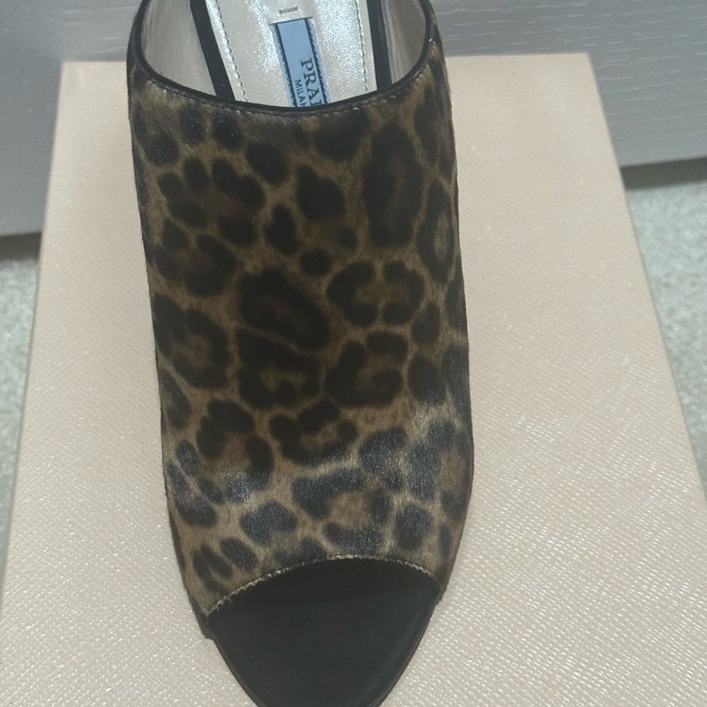 Prada - Picture 8 of 13